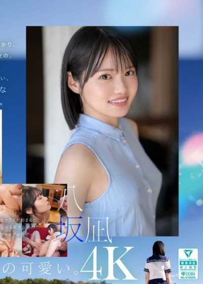 新・新人 這就是嶄新的