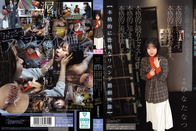 我会认真地侵犯和我的老公偷情的女儿。认真地踩踏她。认真地打野炮。认真地让她怀孕。认真地摧毁她的肉体。【认真地恐怖的復仇猥亵影像】 日向夏