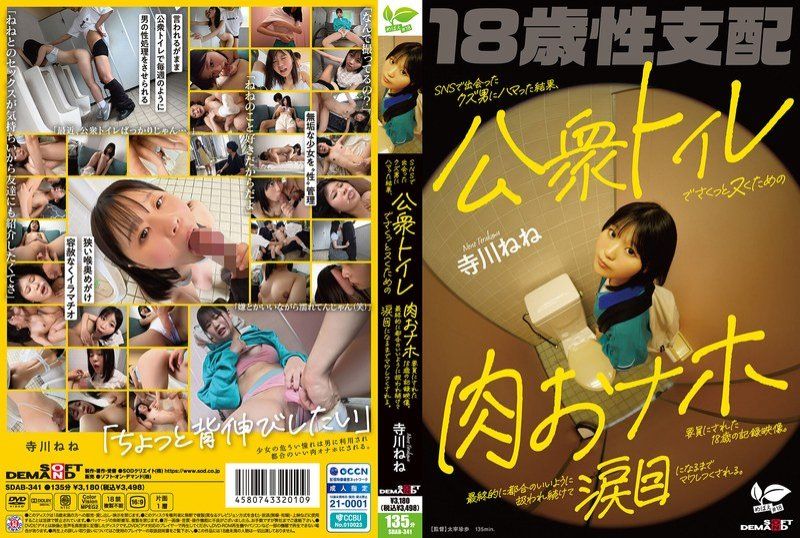 迷恋在社交网站上认识的渣男，最终成为他用来在公共厕所裡轻松解决性需求的肉体工具的18岁记录影片。被持续地处理得符合他方便的方式，直到眼泪模样被完全利用。 寺川宁宁