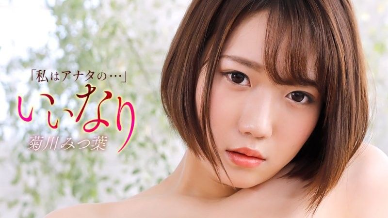 顺从者 菊川三叶